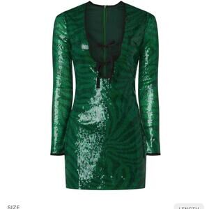 The wolf gang brillo sequin dress ,size medium